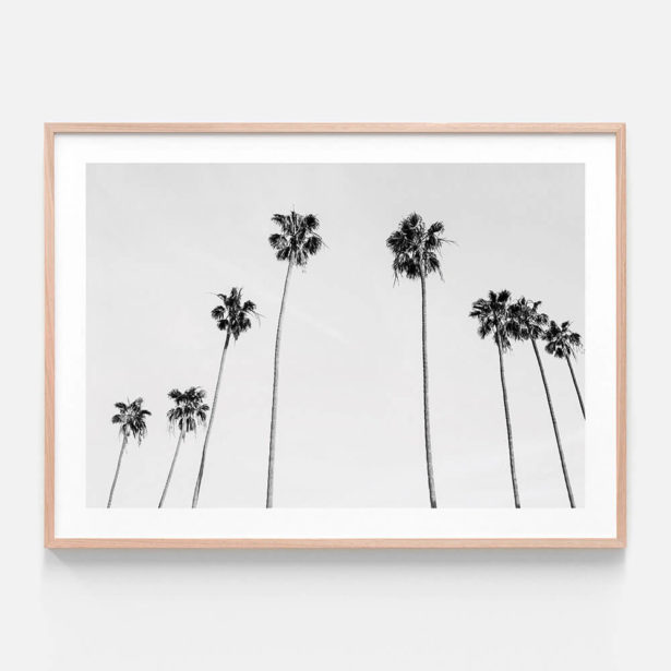 Palm View B+W | Framed Print or Canvas Wall Art | 41 Orchard