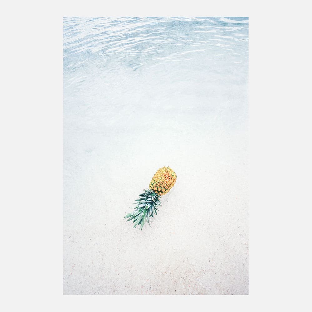 Washed Up Pineapple | Photo Wall Mural | 41 Orchard