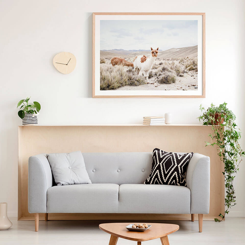 Curious Llama | Framed Print or Canvas Wall Art | 41 Orchard