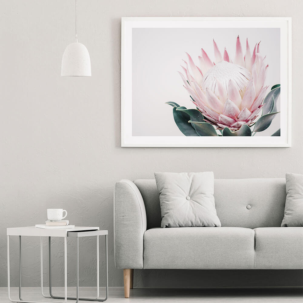 King Protea II | Framed Print or Canvas Wall Art | 41 Orchard