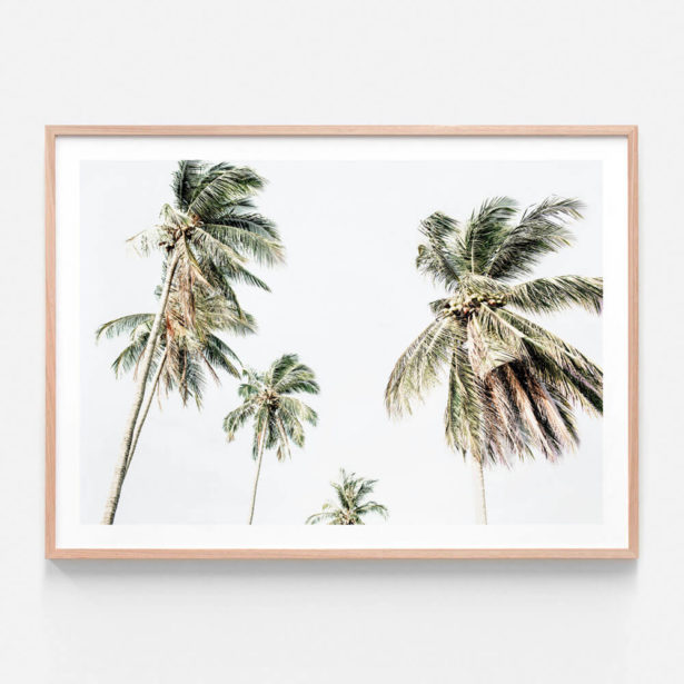 Tropical & Palm Tree Prints | Wall Art Posters & Framed Prints | 41 Orchard