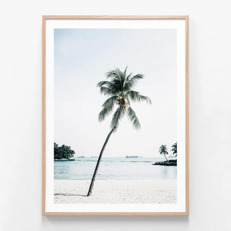 Tropical & Palm Tree Prints | Wall Art Posters & Framed Prints | 41 Orchard