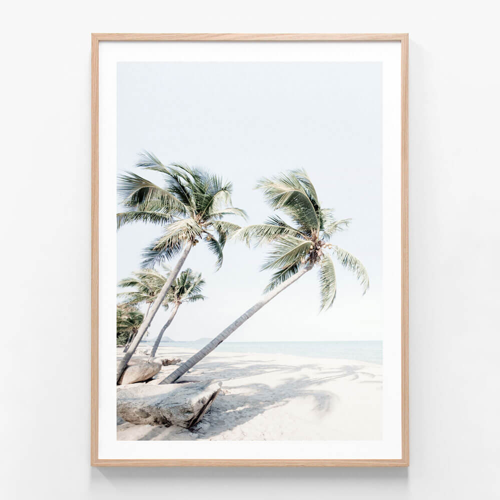 Tropical & Palm Tree Prints | Wall Art Posters & Framed Prints | 41 Orchard