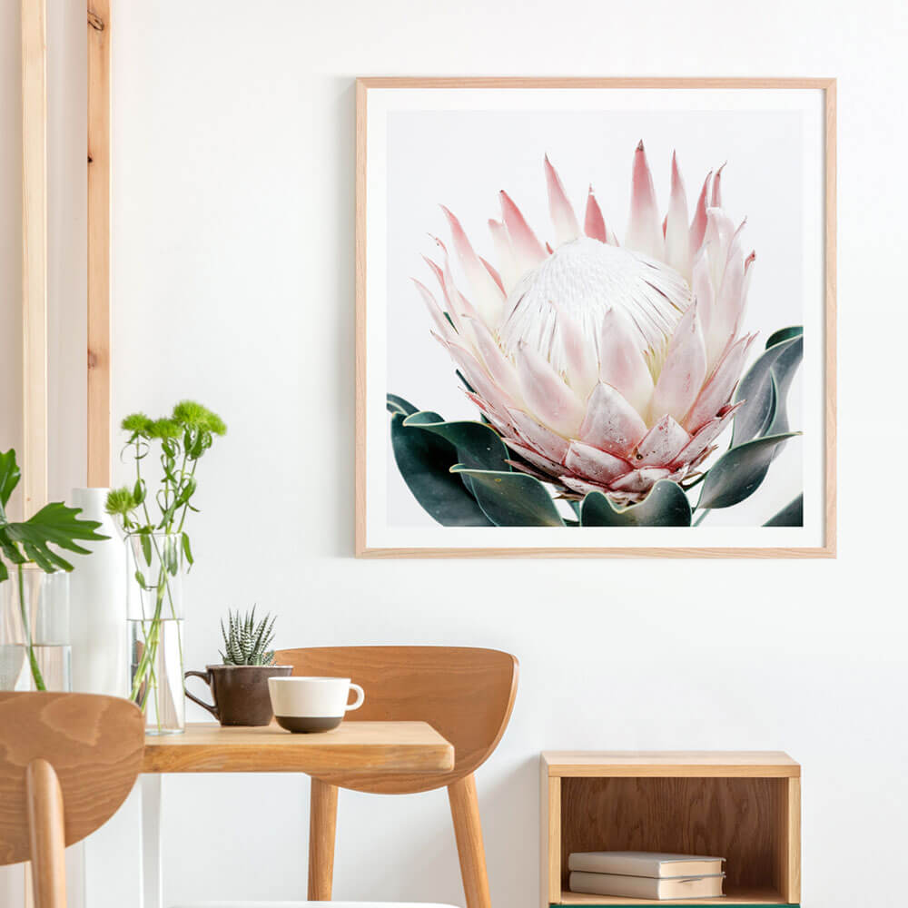 King Protea II | Framed Print or Poster Wall Art | 41 Orchard