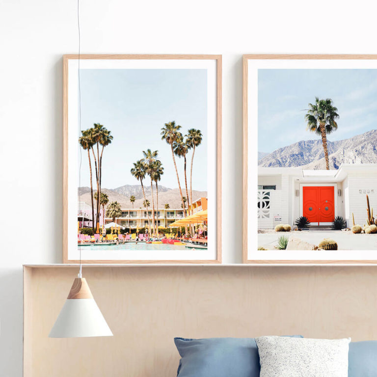 Saguaro Views | Framed Print or Canvas Wall Art | 41 Orchard